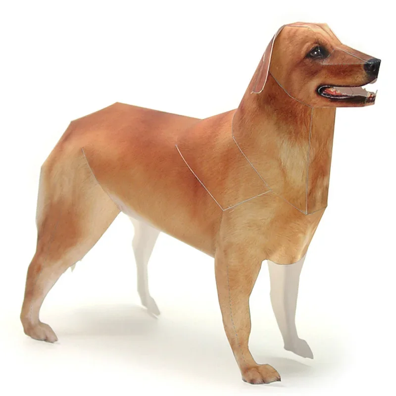 Art Craft Cardboard - Golden Retriever Köpek Kağıt Modeli Gerçekçi